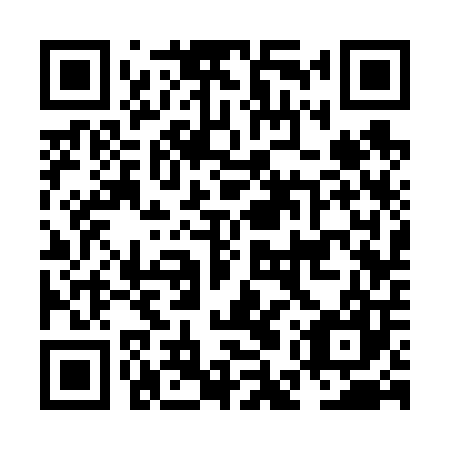 QR code for NES607