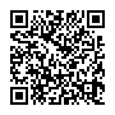 QR code for NES639