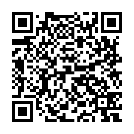 QR code for NES939