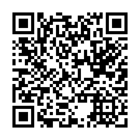 QR code for plate NET 339