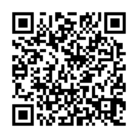 QR code for NEV 303