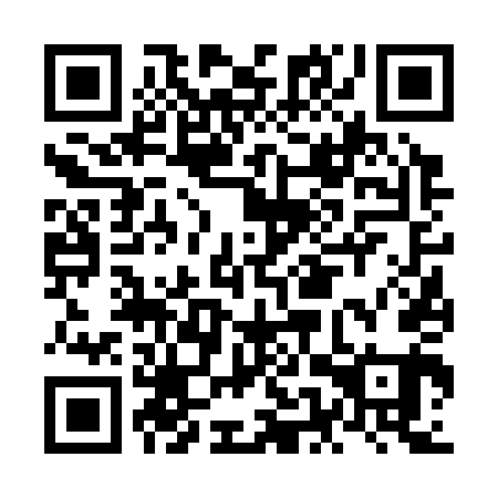 QR code for NEV 341