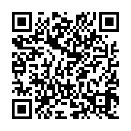 QR code for NEV 419