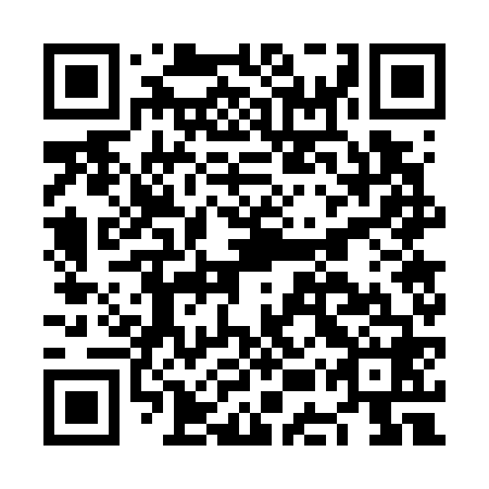 QR code for plate NEW 768