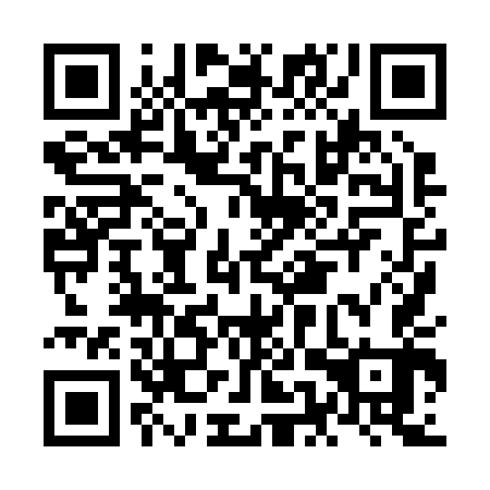 QR code for plate NEX 243