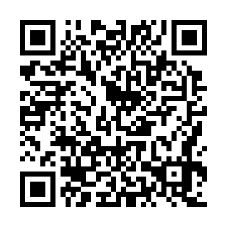 QR code for plate NEX 377