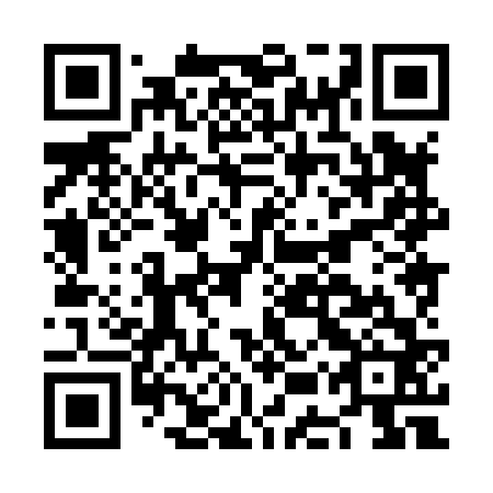 QR code for plate NEX 862