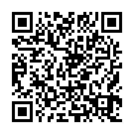 QR code for plate NEY 163