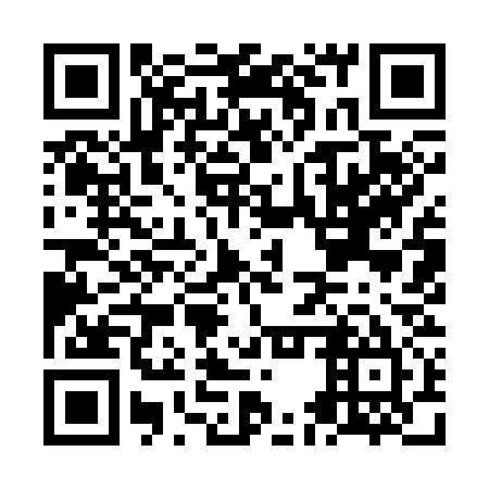 QR code for plate NEY 335