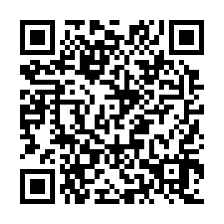 QR code for NEZ 317