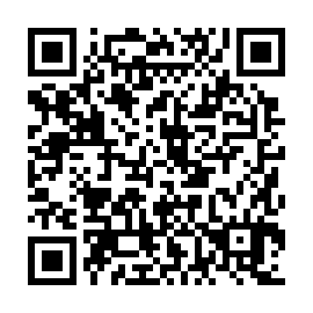 QR code for NF 0384