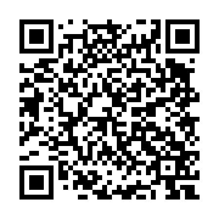 QR code for NF 0463