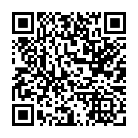 QR code for NF 6393