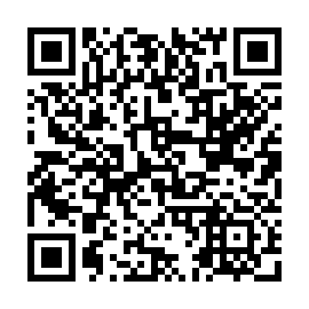 QR code for plate NF 0333