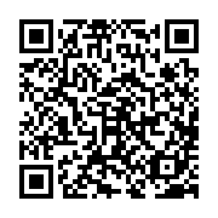 QR code for NF0381