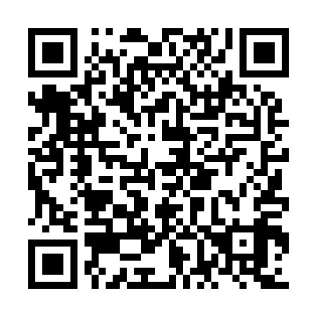 QR code for plate NF 4919