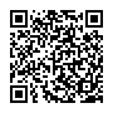 QR code for NFE 213