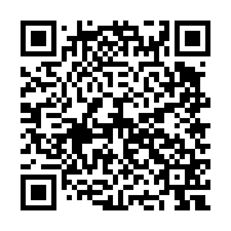 QR code for NFE 461