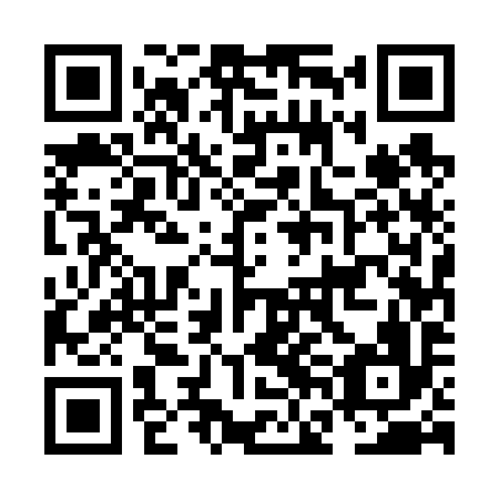QR code for plate NFE 696