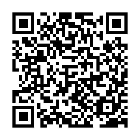 QR code for plate NFF 250