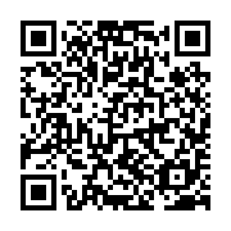 QR code for plate NFF 295