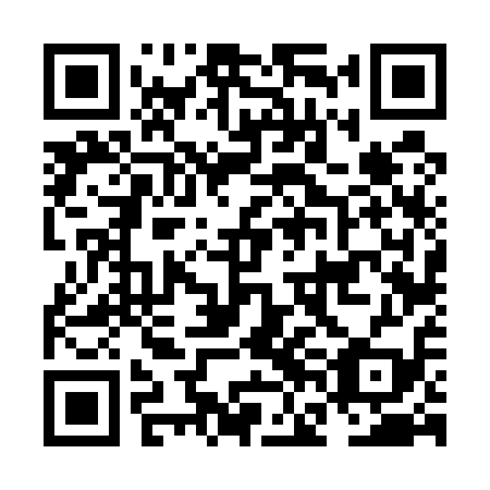 QR code for plate NFF 519