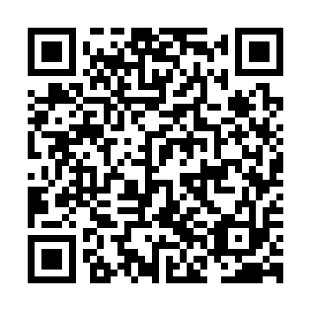 QR code for NFG313