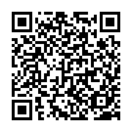 QR code for plate NFG 380