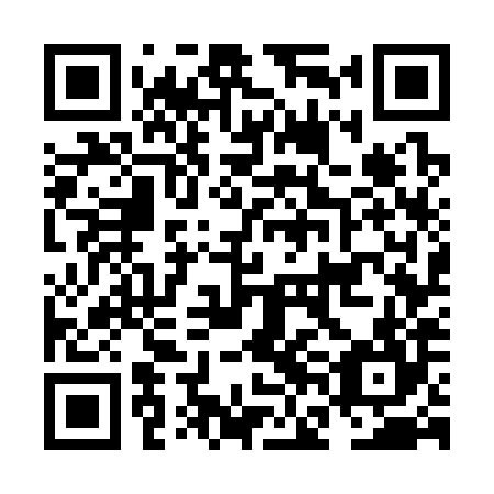 QR code for NFG384