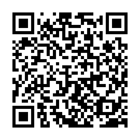 QR code for NFI 339