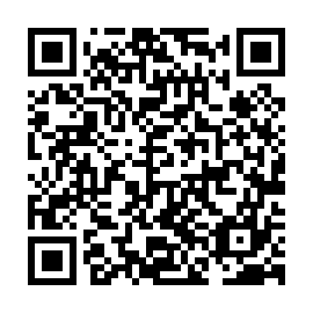 QR code for plate NFL 077