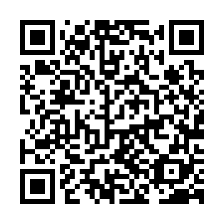 QR code for plate NFL 368