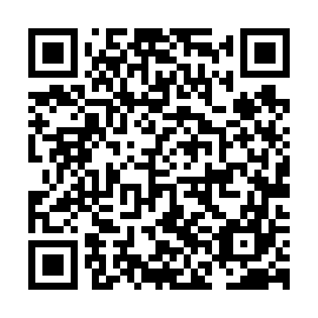 QR code for plate NFL 667