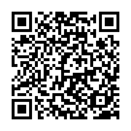 QR code for NFN 381