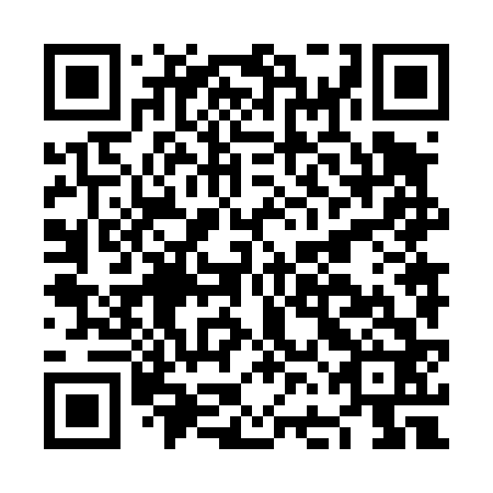 QR code for NFN 462