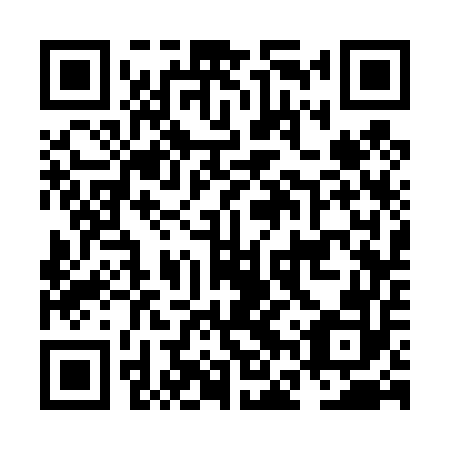 QR code for plate NFS 452