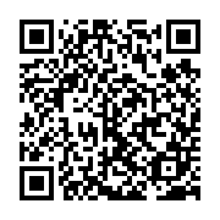 QR code for plate NFS 602