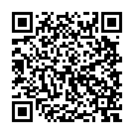 QR code for NFT 041