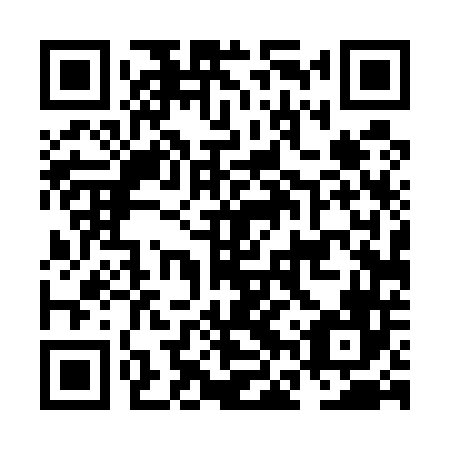 QR code for NFT 546