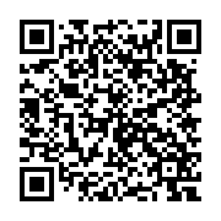 QR code for plate NFU 566