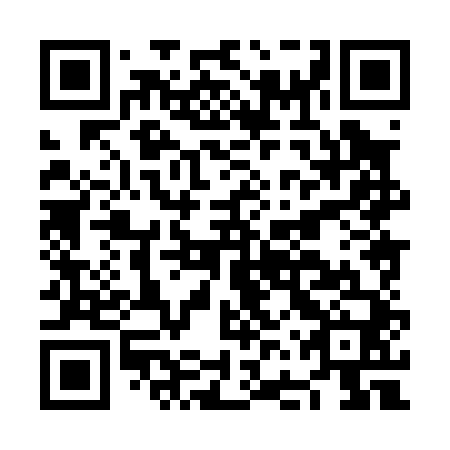 QR code for plate NFX 040