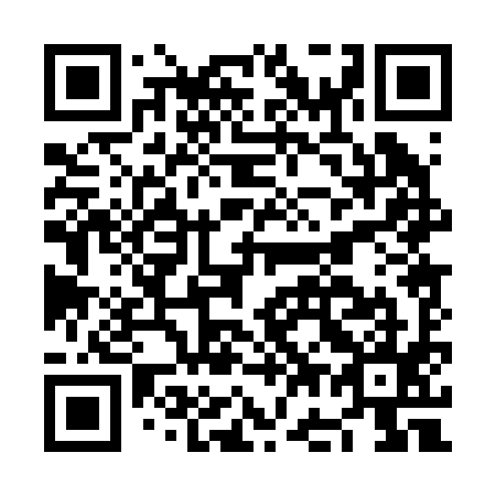 QR code for NG 0295