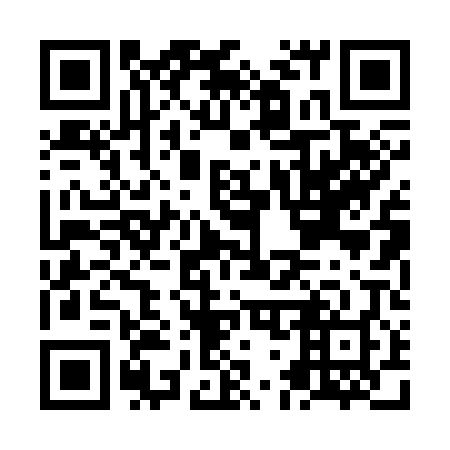 QR code for NG 0308