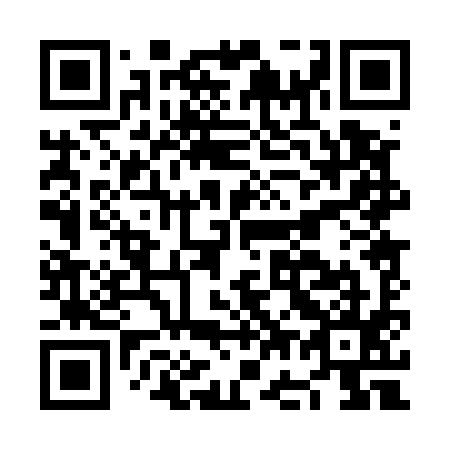 QR code for NG 0595
