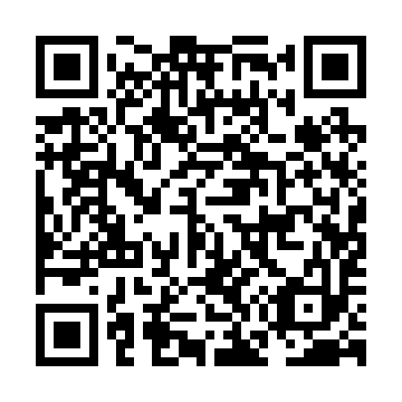 QR code for NG 1293