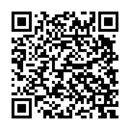 QR code for NG 4463