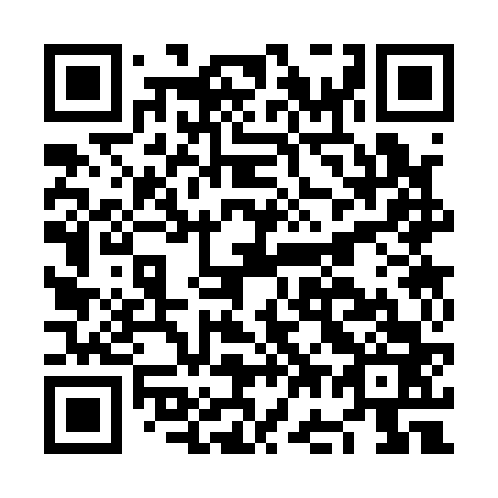 QR code for plate NG 3163