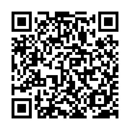 QR code for plate NG 3295