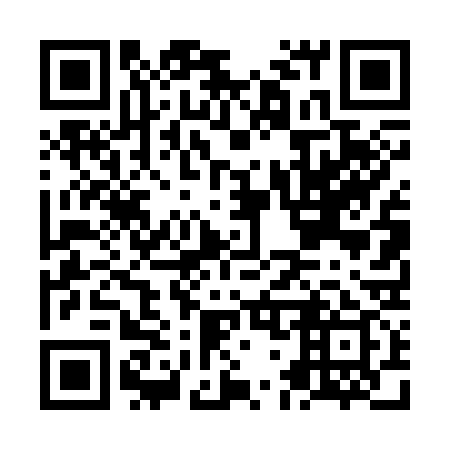 QR code for plate NG 4339