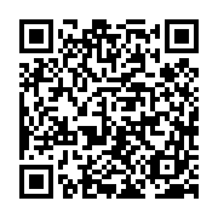 QR code for plate NG 8463